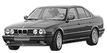 BMW E34 P1173 Fault Code